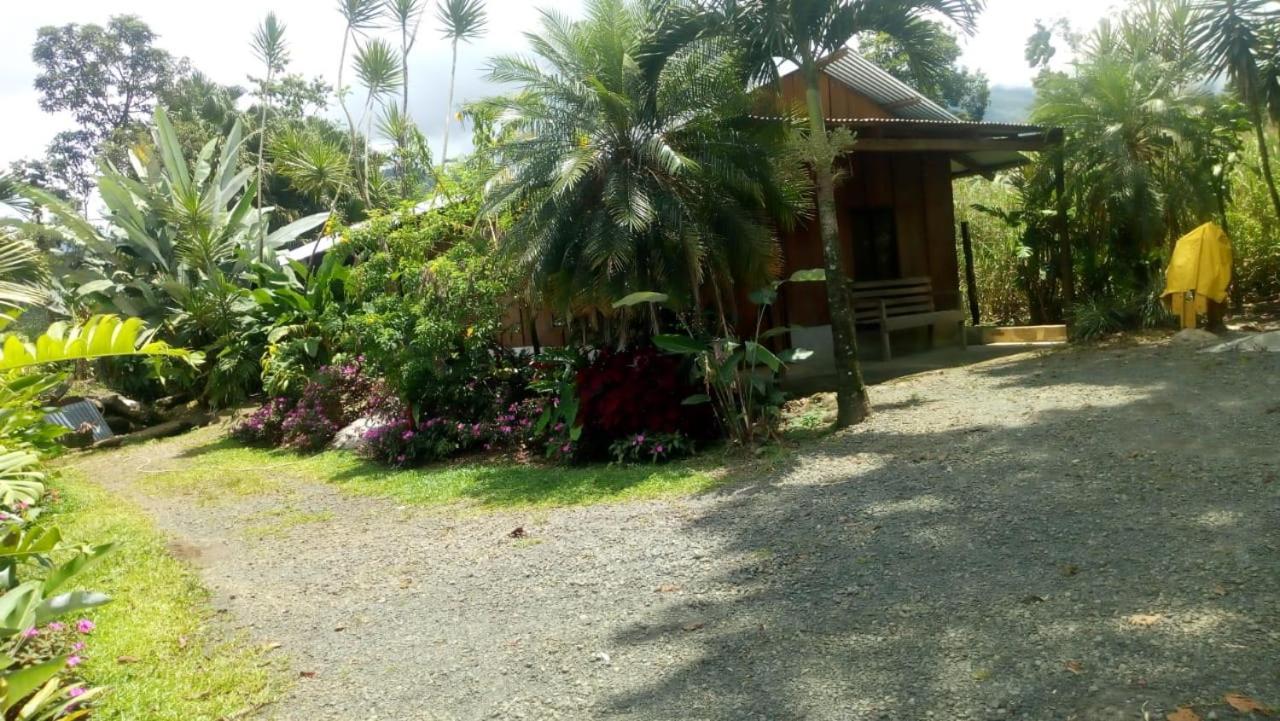 Posada Rio Celeste In Bed & Breakfast Ngoại thất bức ảnh