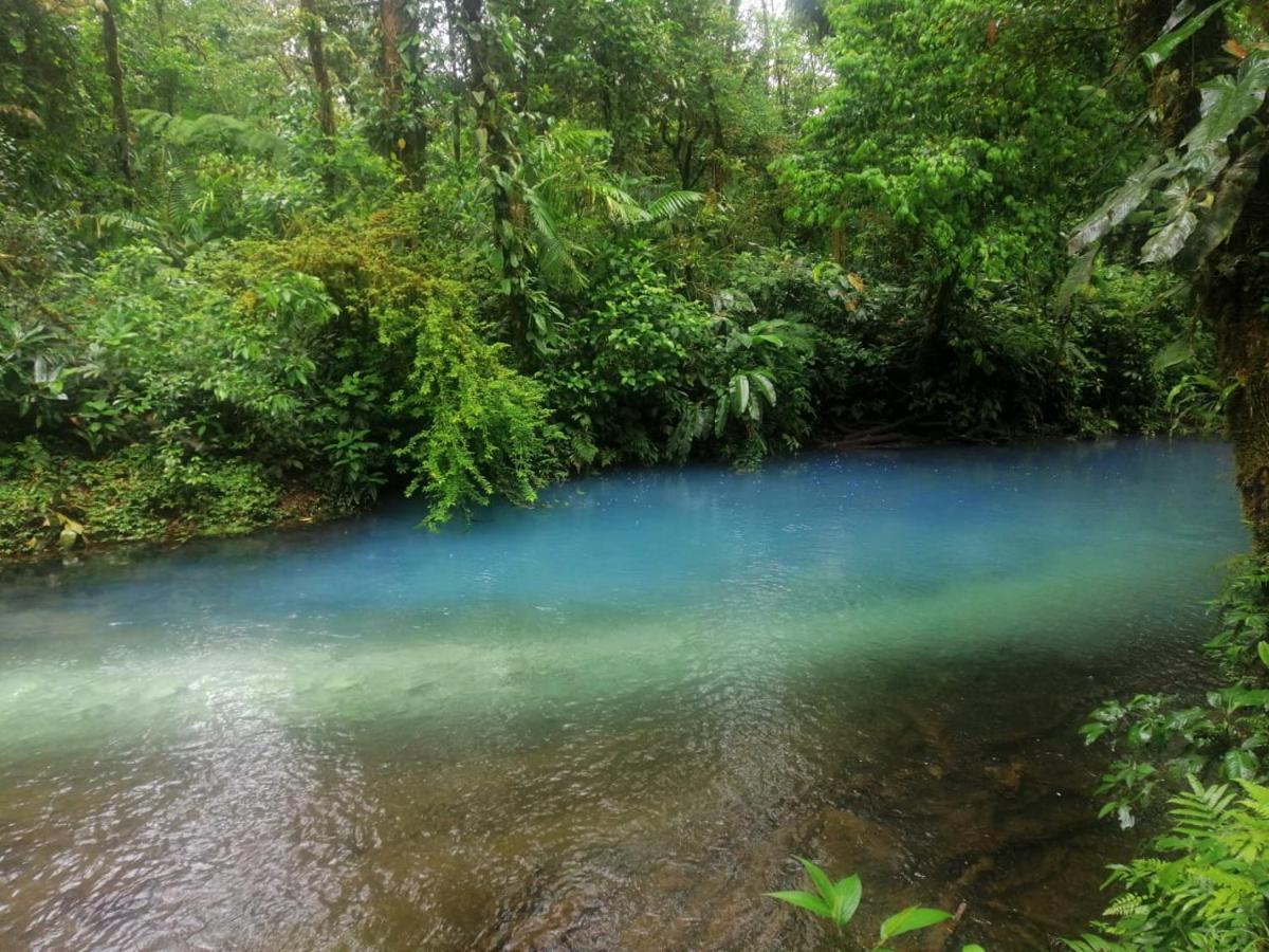 Posada Rio Celeste In Bed & Breakfast Ngoại thất bức ảnh